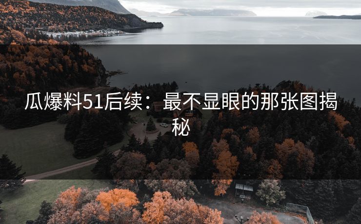 瓜爆料51后续：最不显眼的那张图揭秘