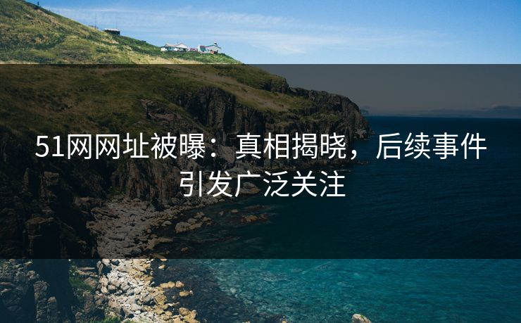 51网网址被曝：真相揭晓，后续事件引发广泛关注