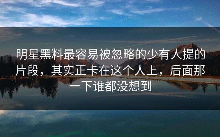 明星黑料最容易被忽略的少有人提的片段，其实正卡在这个人上，后面那一下谁都没想到