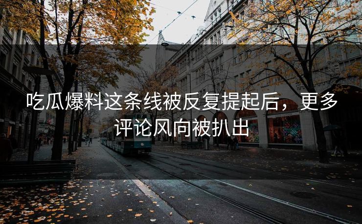 吃瓜爆料这条线被反复提起后，更多评论风向被扒出