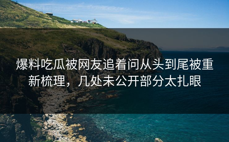 爆料吃瓜被网友追着问从头到尾被重新梳理，几处未公开部分太扎眼