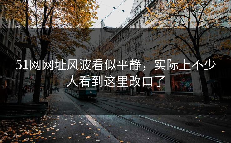 51网网址风波看似平静，实际上不少人看到这里改口了