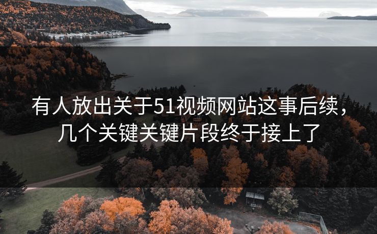 有人放出关于51视频网站这事后续，几个关键关键片段终于接上了