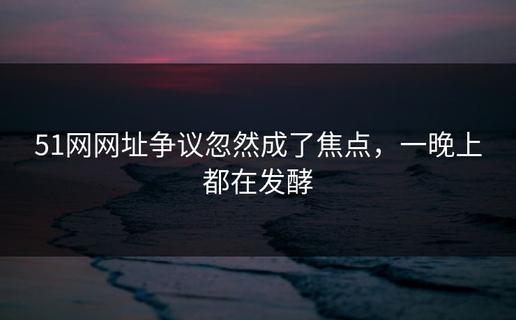 51网网址争议忽然成了焦点，一晚上都在发酵